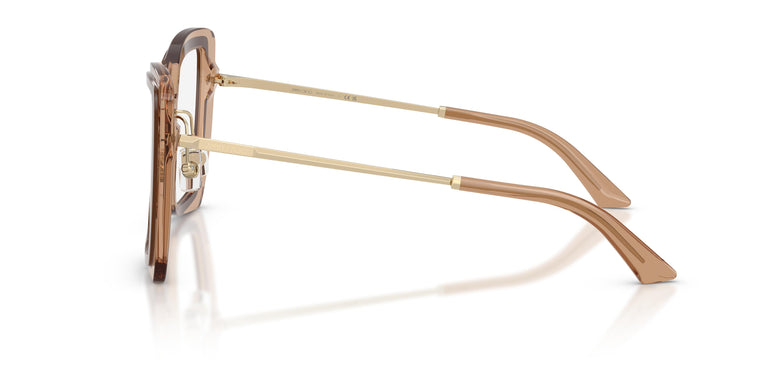 Jimmy Choo JC3059 5105 52