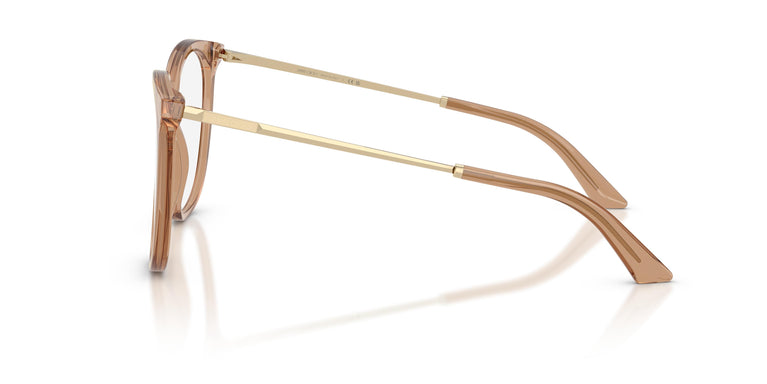 Jimmy Choo JC3060 5076 55
