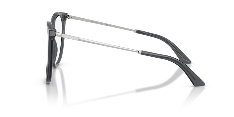 Jimmy Choo JC3060 5106 55