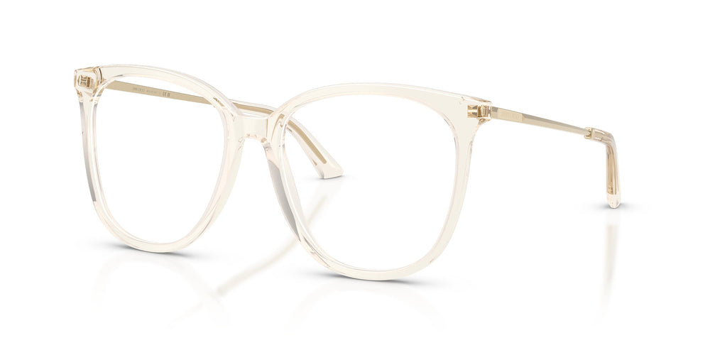 Jimmy Choo JC3060 5107 55
