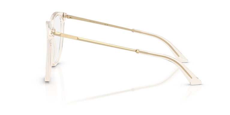 Jimmy Choo JC3060 5107 53
