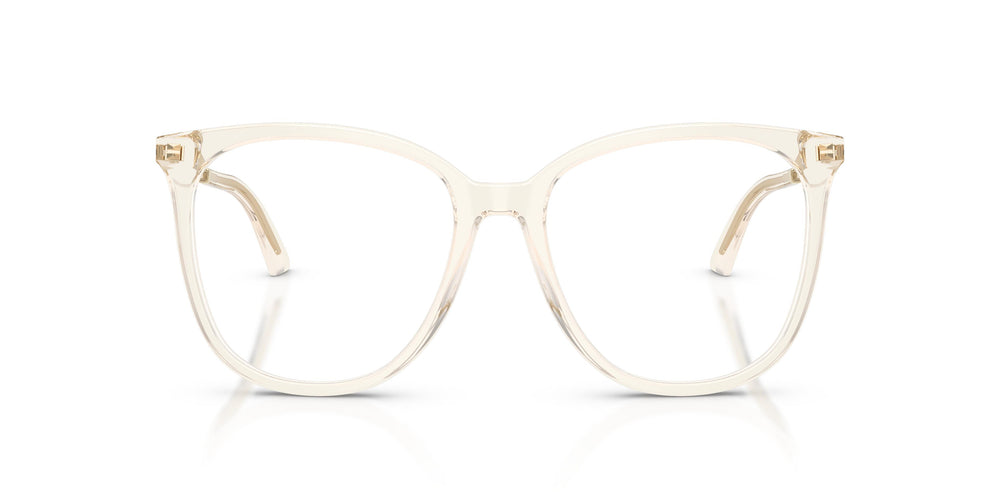 Jimmy Choo JC3060 5107 53