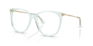 Jimmy Choo JC3060 5108 55
