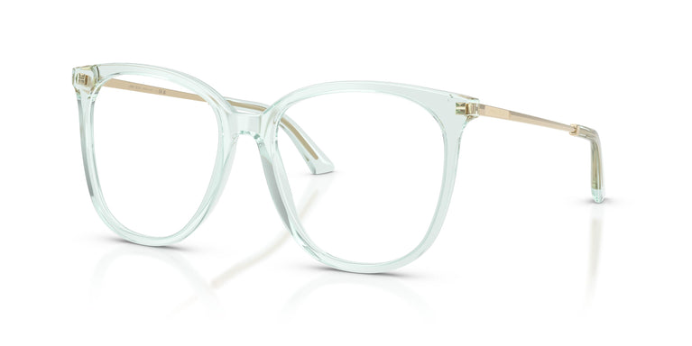 Jimmy Choo JC3060 5108 55