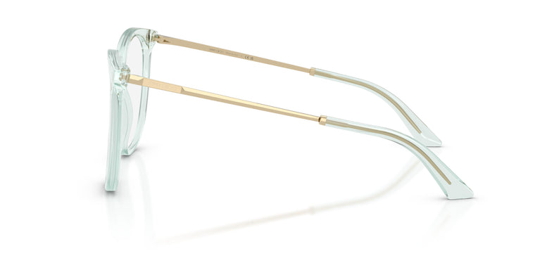 Jimmy Choo JC3060 5108 55