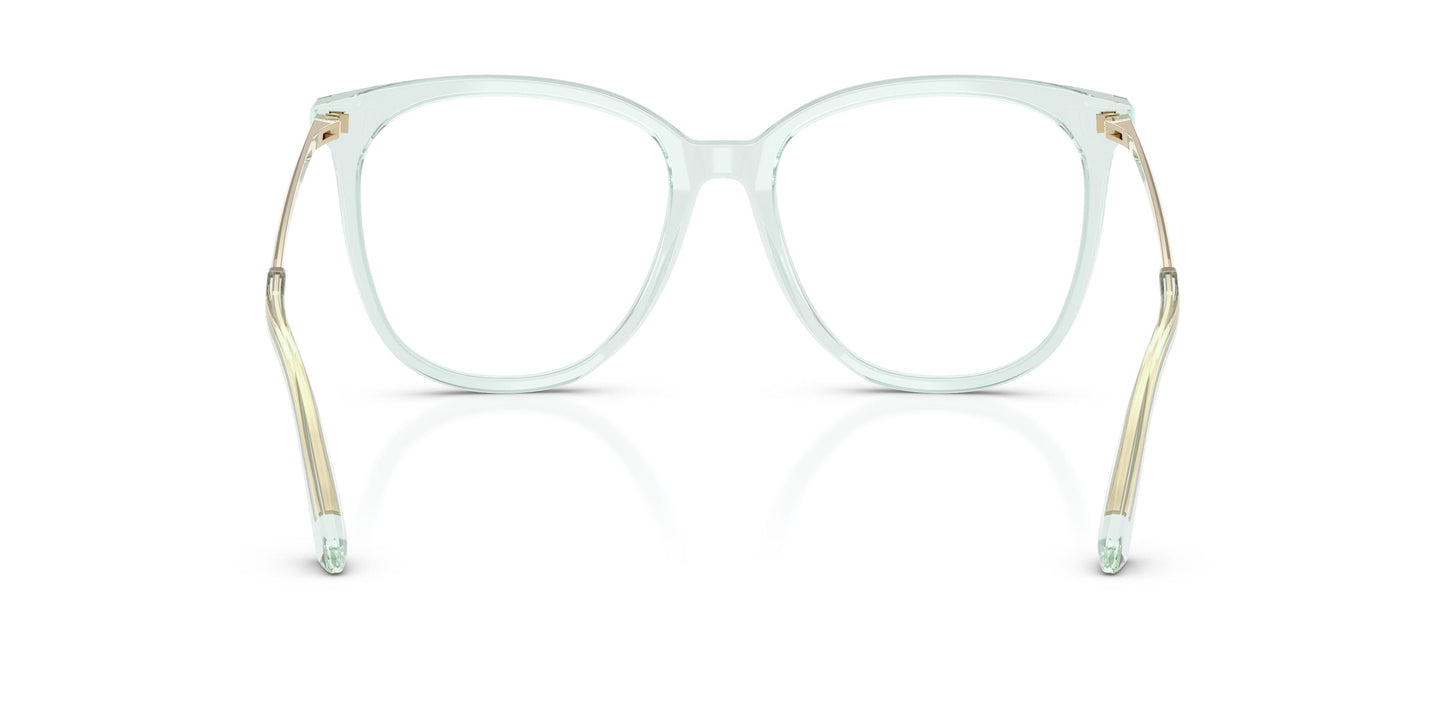 Jimmy Choo JC3060 5108 55