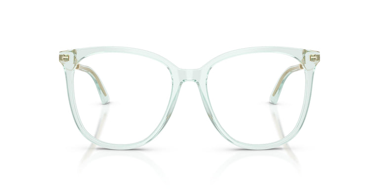 Jimmy Choo JC3060 5108 53