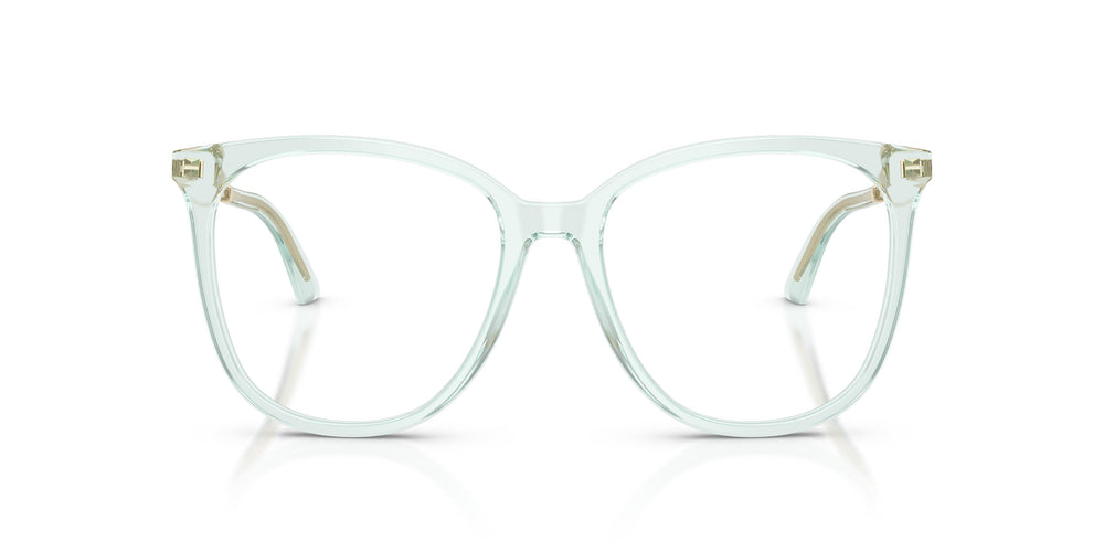 Jimmy Choo JC3060 5108 55
