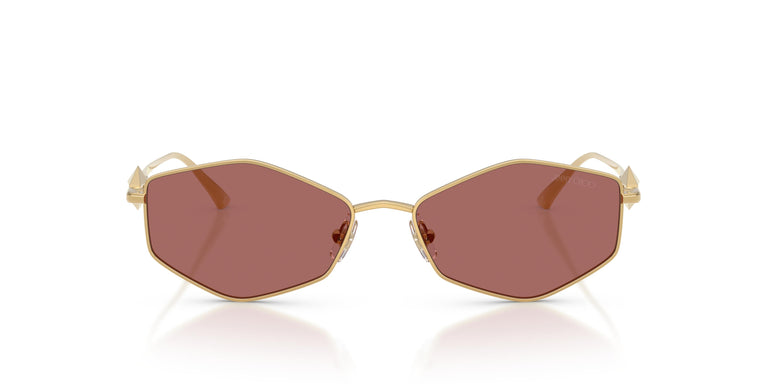 Jimmy Choo JC4017  302369 55