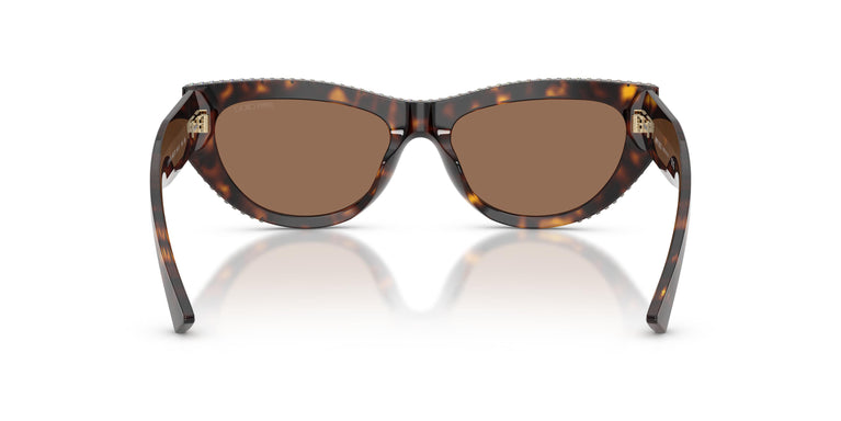 Jimmy Choo JC5034BU  500273 54
