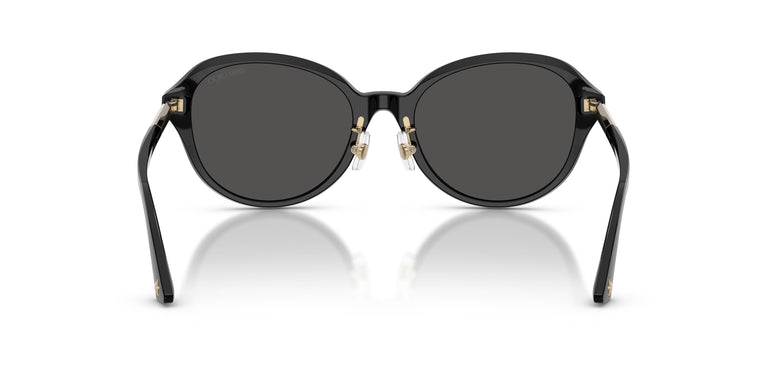 Jimmy Choo JC5044D  500087 54