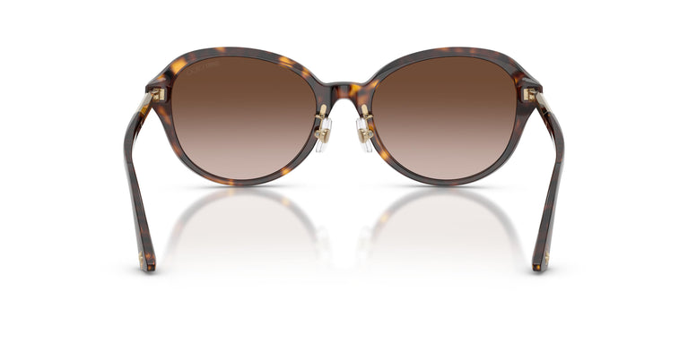 Jimmy Choo JC5044D  500213 54