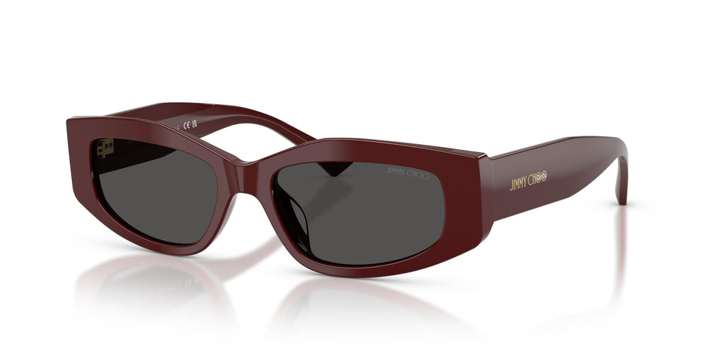 Jimmy Choo JC5046BU 505787 53