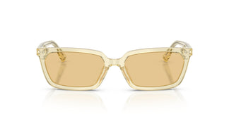 Jimmy Choo JC5050U 5083/8 55