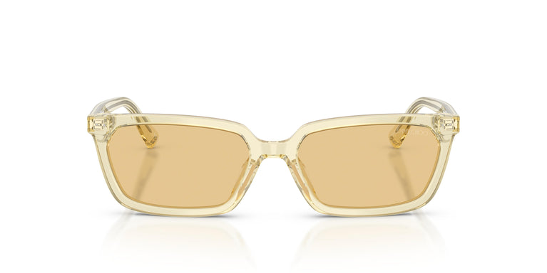 Jimmy Choo JC5050U 5083/8 55