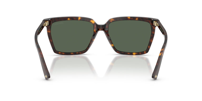 Jimmy Choo JC5051 500271 55