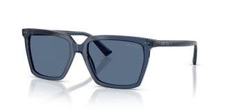 Jimmy Choo JC5051 503580 55