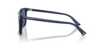 Jimmy Choo JC5051 503580 55