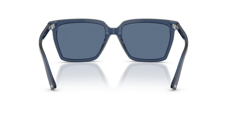 Jimmy Choo JC5051 503580 55