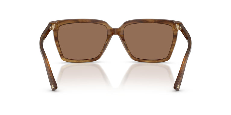 Jimmy Choo JC5051 508573 55