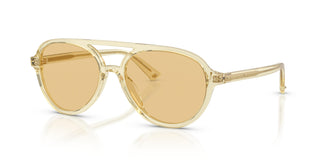Jimmy Choo JC5055U 5083/8 55