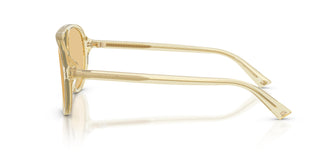 Jimmy Choo JC5055U 5083/8 55