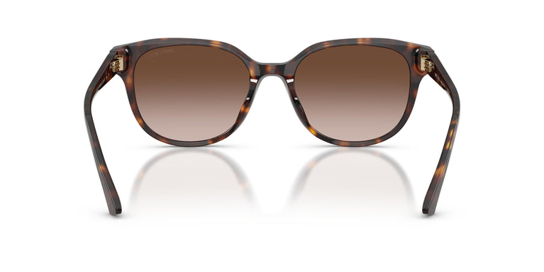 Jimmy Choo JC5057D 500213 55