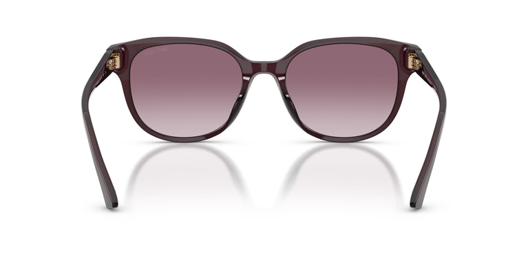 Jimmy Choo JC5057D 50866X 55