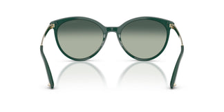 Jimmy Choo JC5060 510019 53