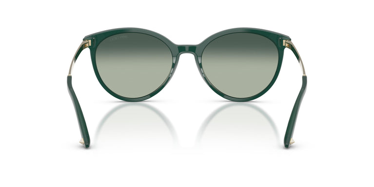 Jimmy Choo JC5060 510019 53