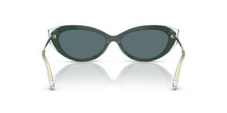 Jimmy Choo JC5065U 510487 54
