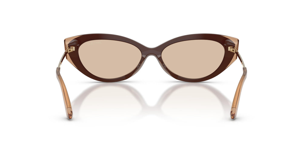 Jimmy Choo JC5065U 510593 54