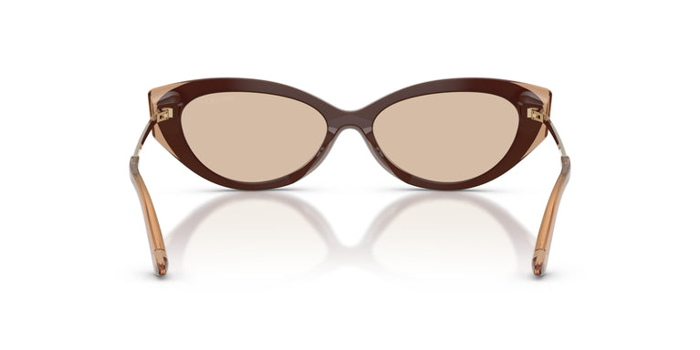 Jimmy Choo JC5065U 510593 54