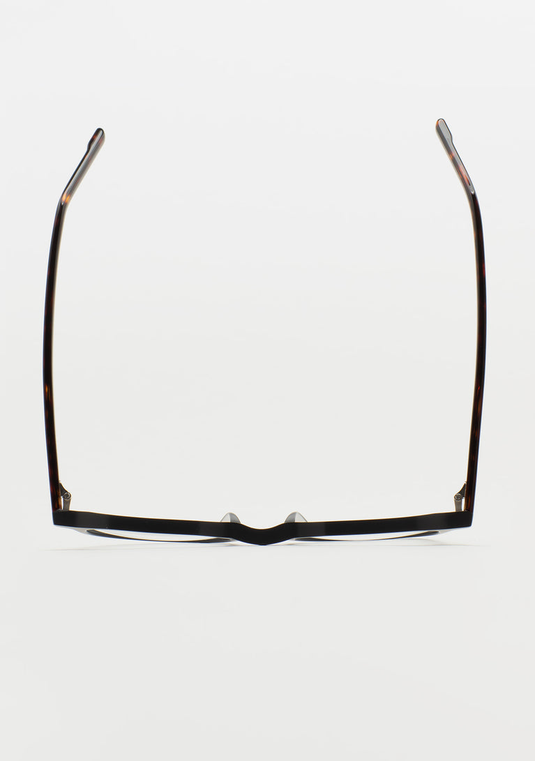 Kaleos Berkus M 1 48