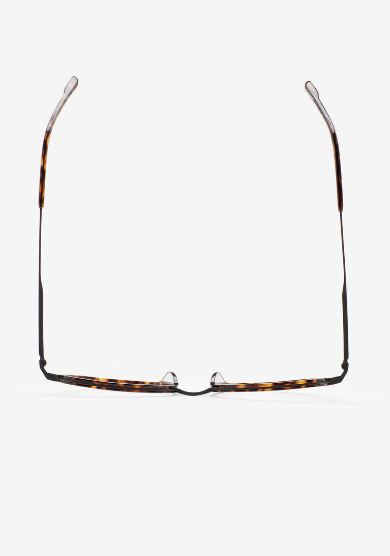 Kaleos Chester Titanio 2 55