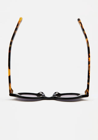 Kaleos Pollitt 24 47