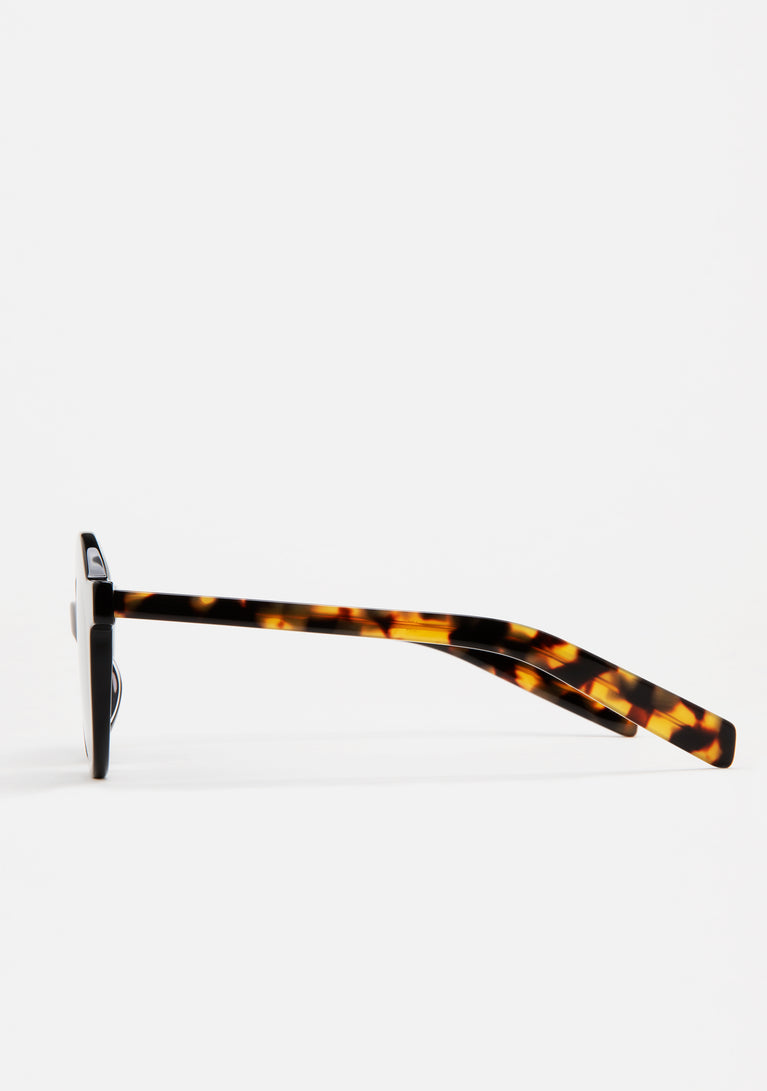 Kaleos Pollitt 24 47