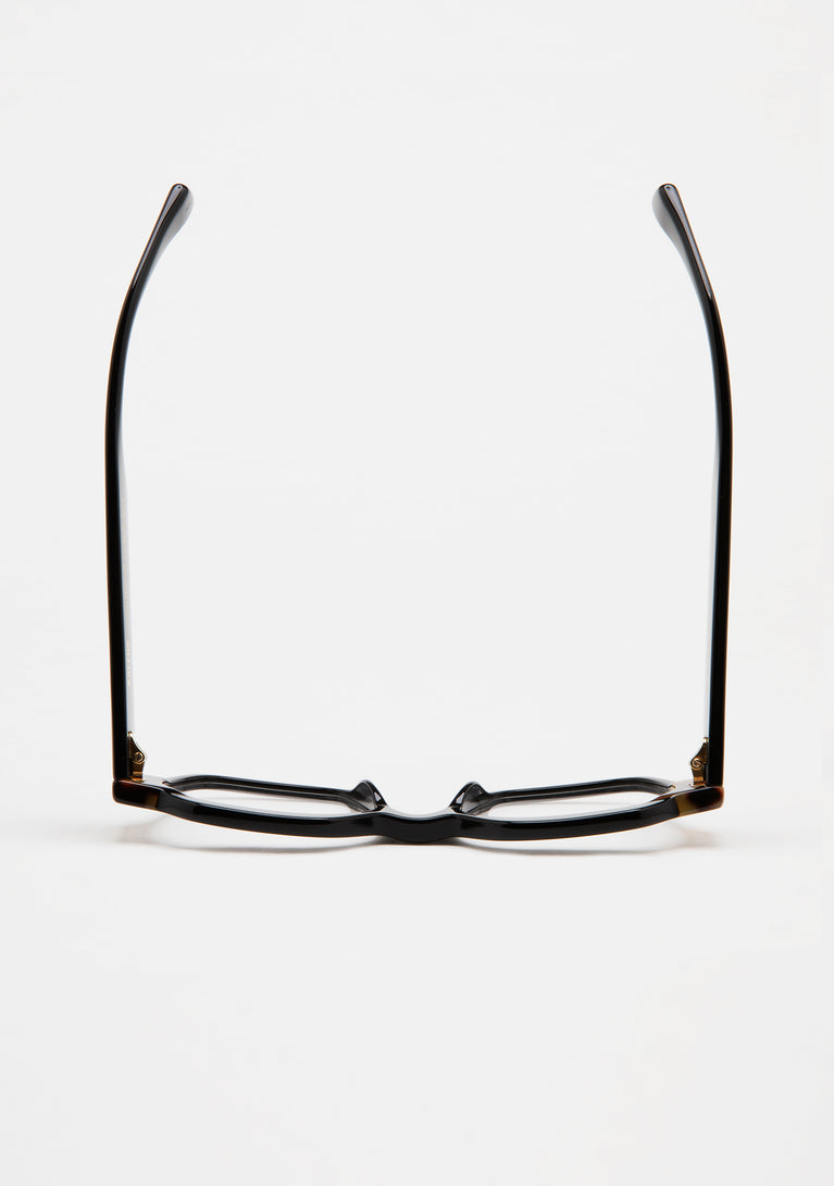 Kaleos Reggiani 11 51