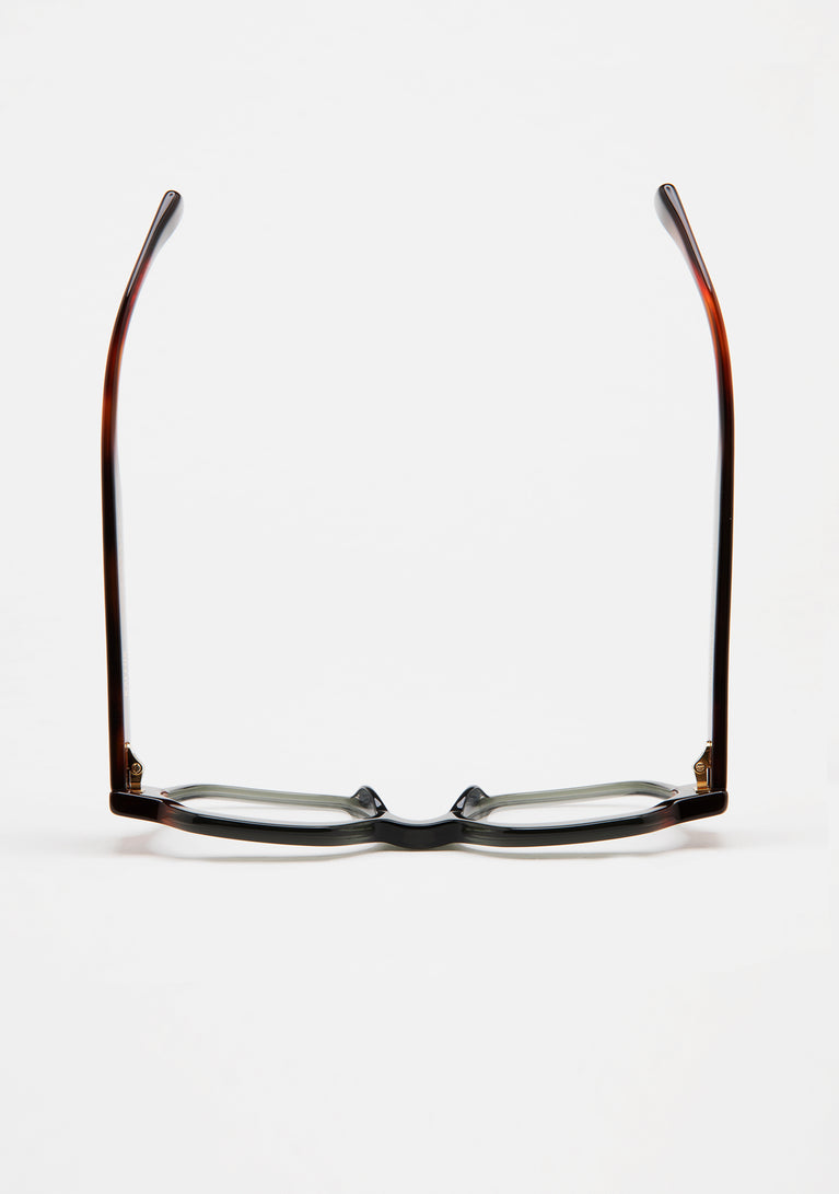 Kaleos Reggiani 13 51