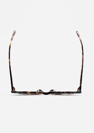 Kaleos Swiney II 3 46