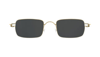 Lindberg 8220 PGT_SL110 01