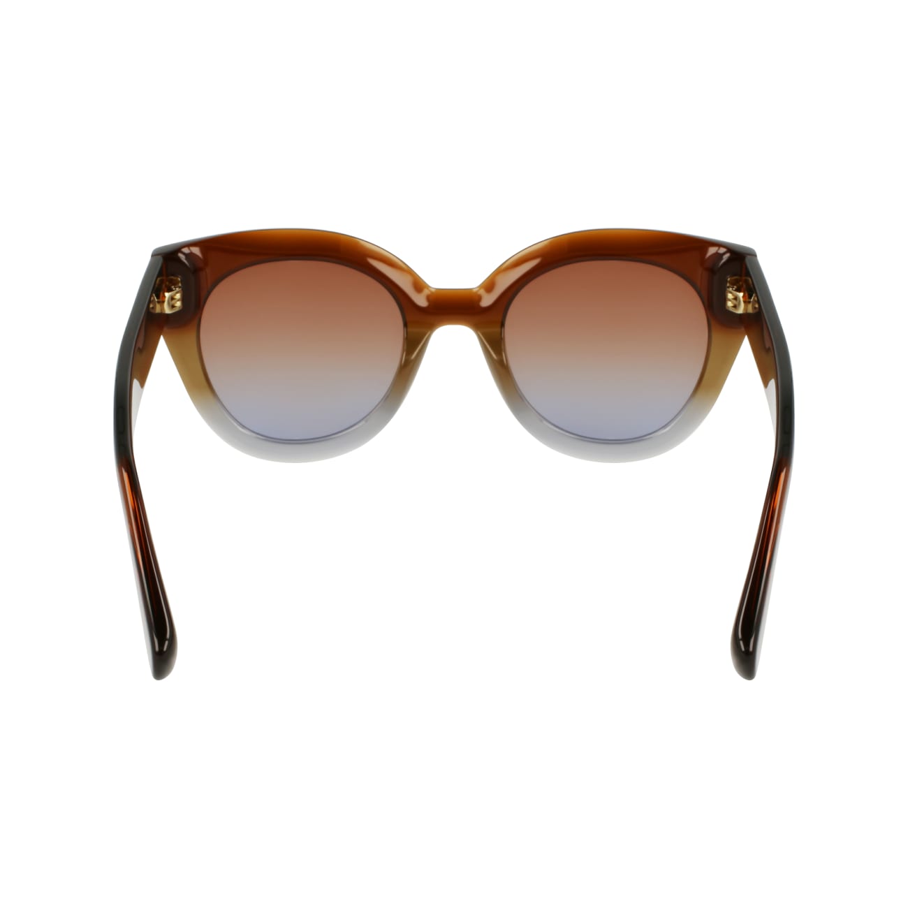 Longchamp LO750S 208 49