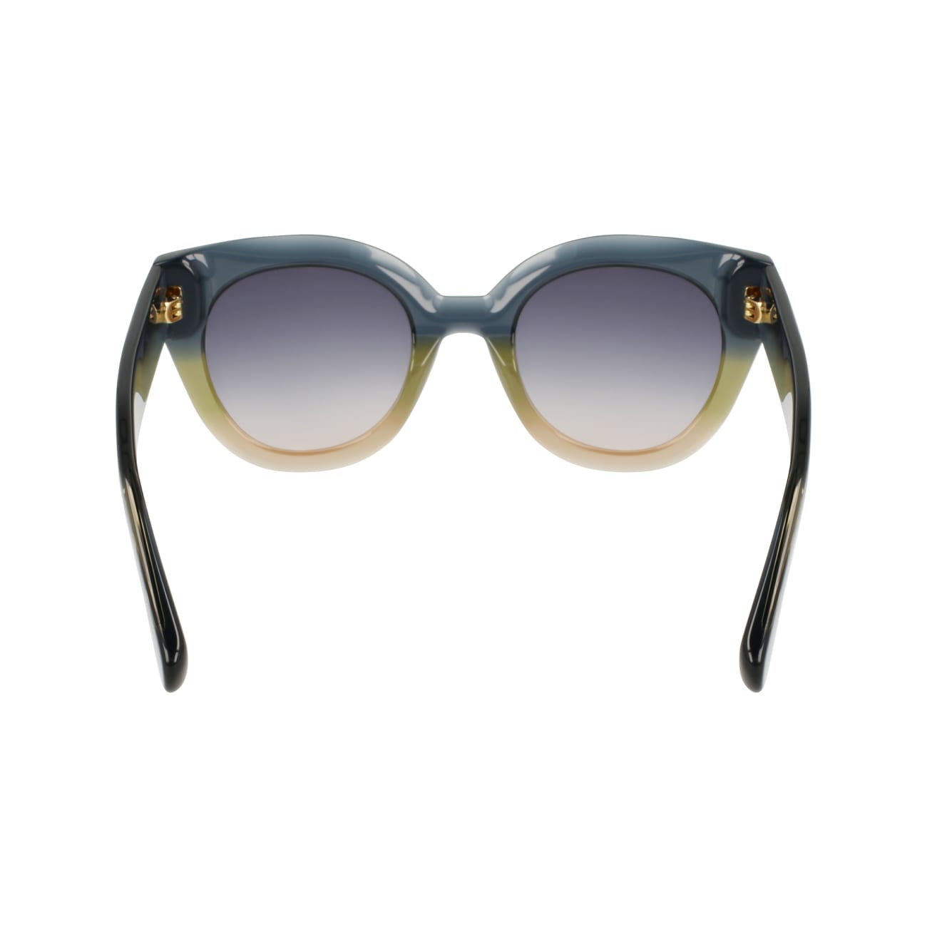Longchamp LO750S 434 49