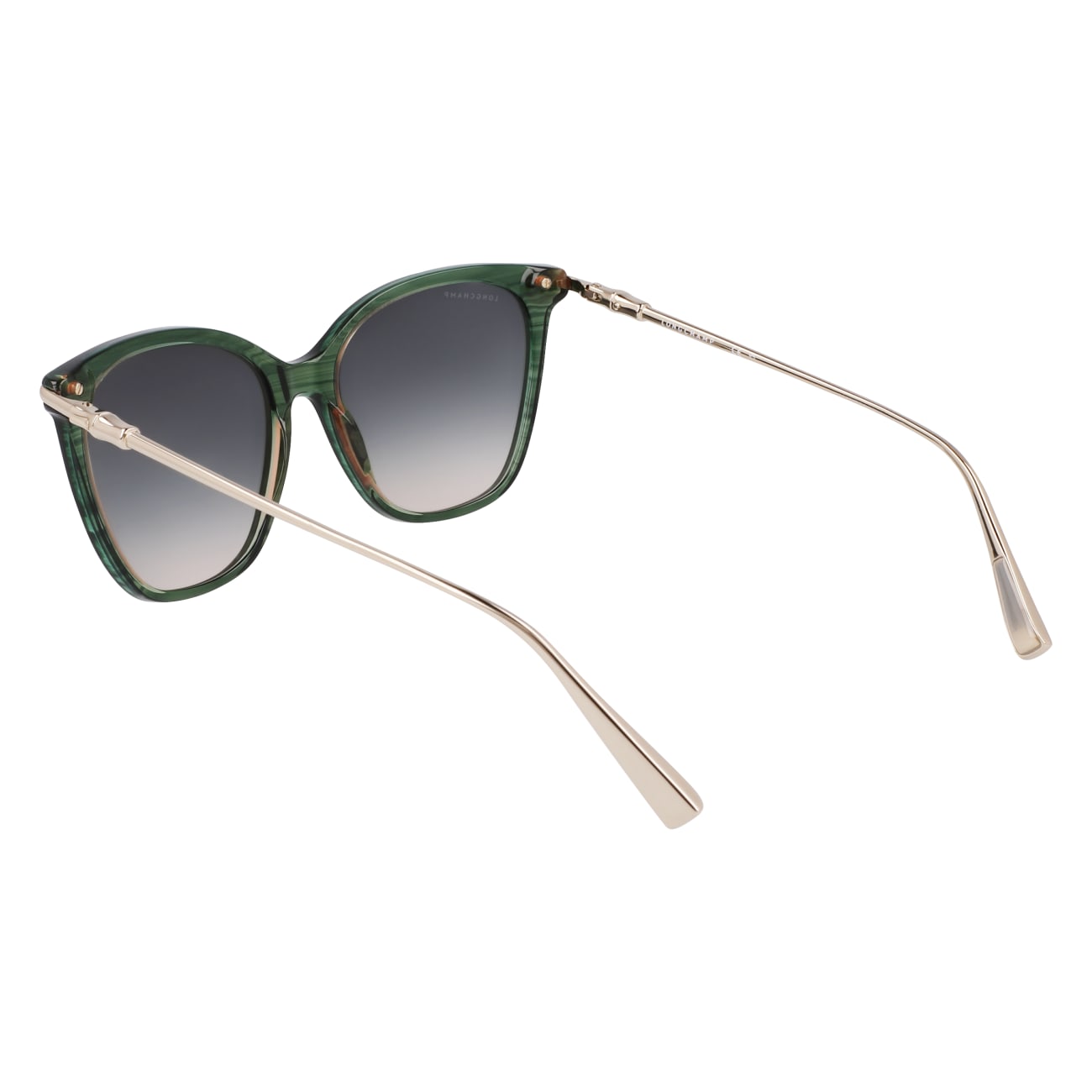 Longchamp LO757S 308 55
