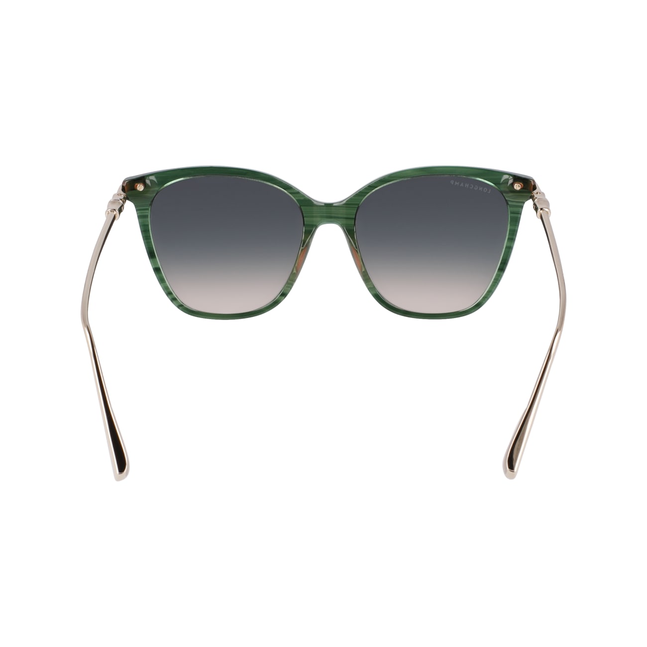 Longchamp LO757S 308 55