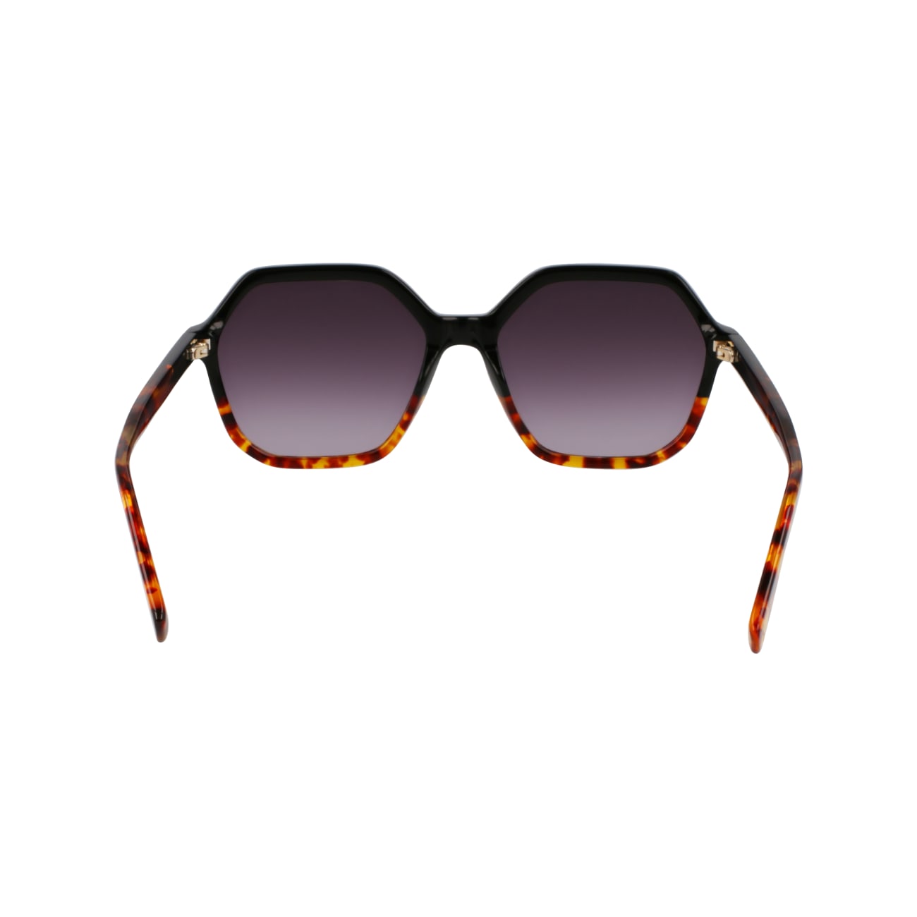 Longchamp LO760S 11 56