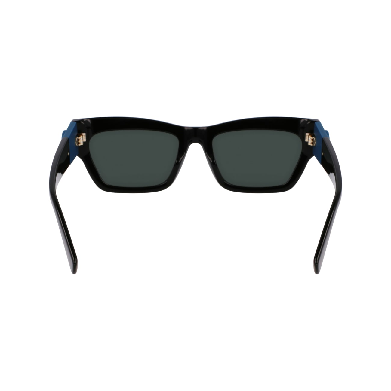 Longchamp LO763S 1 53