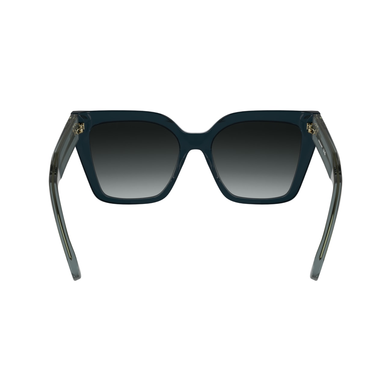 Longchamp LO778S 400 54