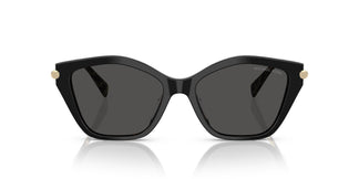 Michael Kors MK2246U CATSKILLS 395087 52