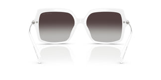 Michael Kors MK2247U QUOGUE 31008G 55